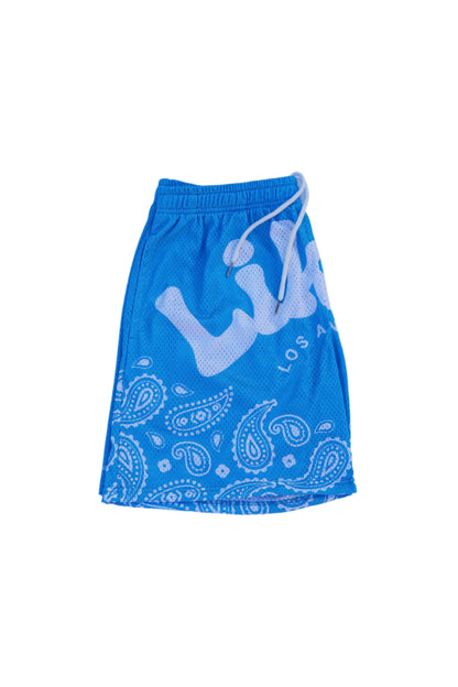 Masterpiece Mesh Shorts  Blue (L/E)