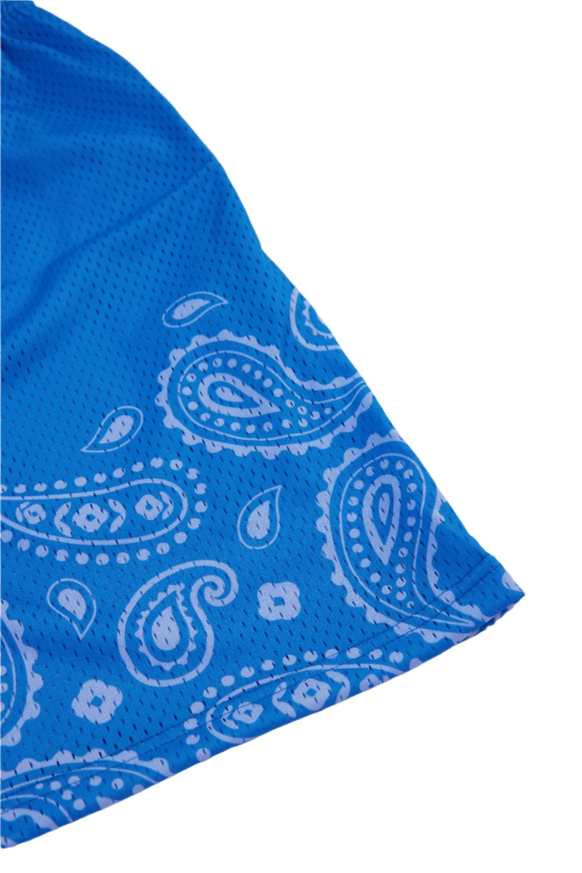 Masterpiece Mesh Shorts  Blue (L/E)